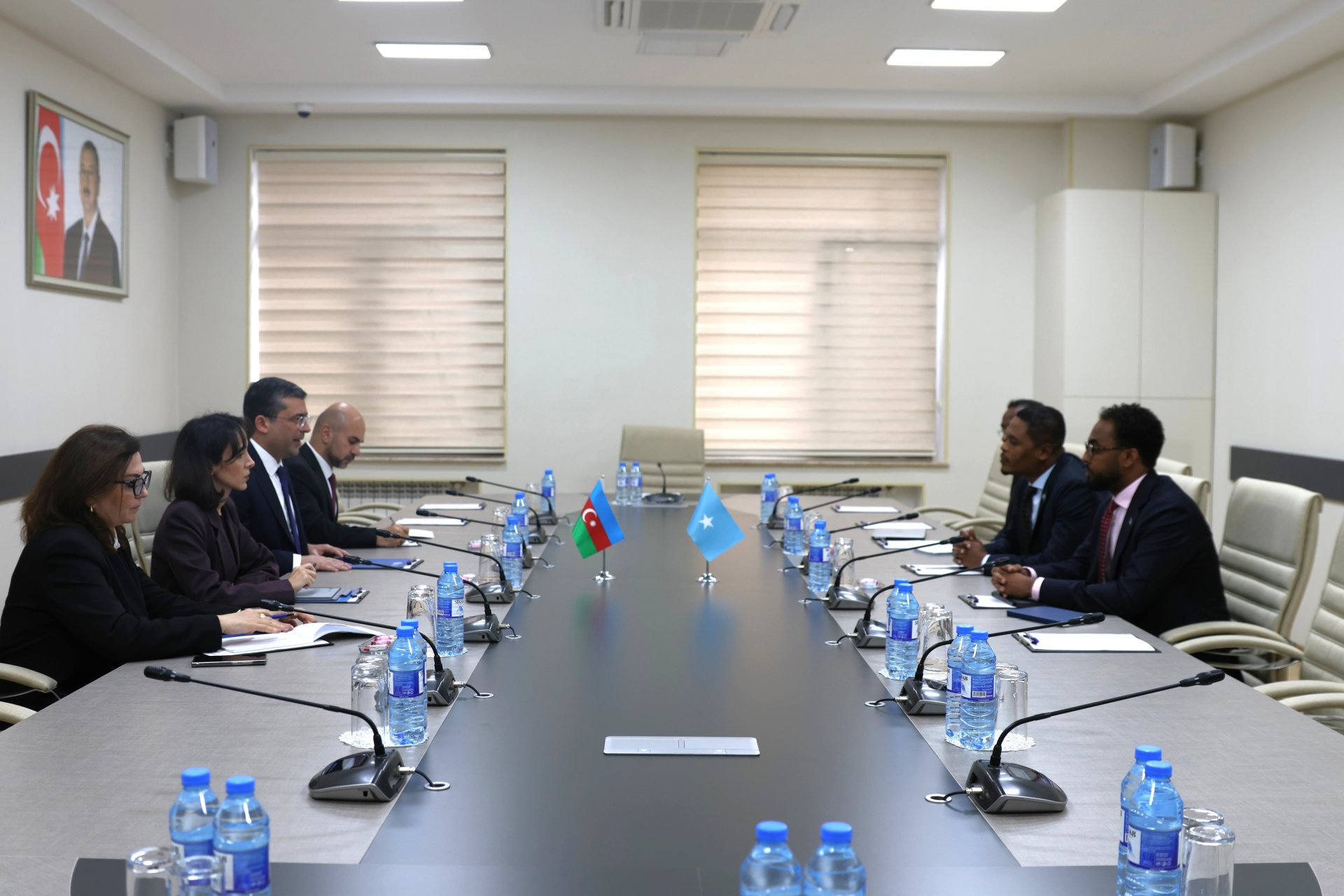Media ve Yayim Surasinda Somali Federativ Respublikasinin informasiya, medeniyyet ve turizm naziri ile ikiterefli gorus kecirilib